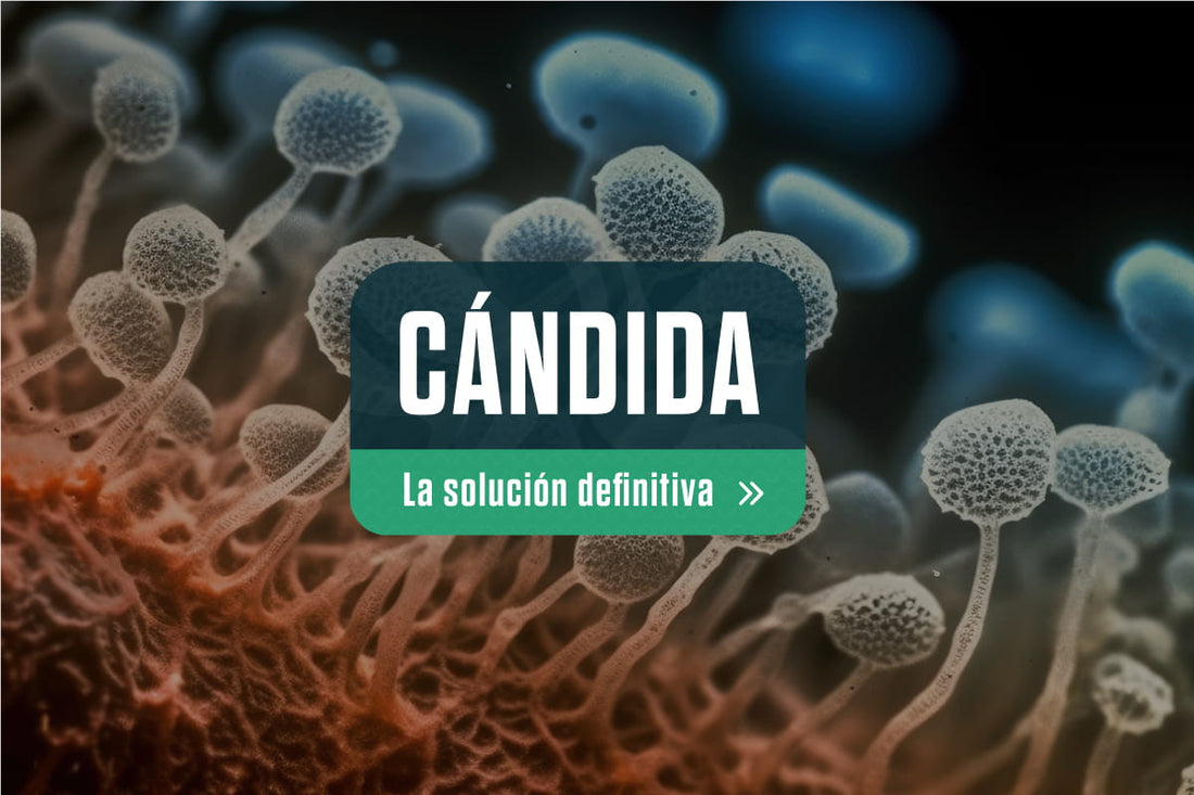 Cándida, la solución definitiva