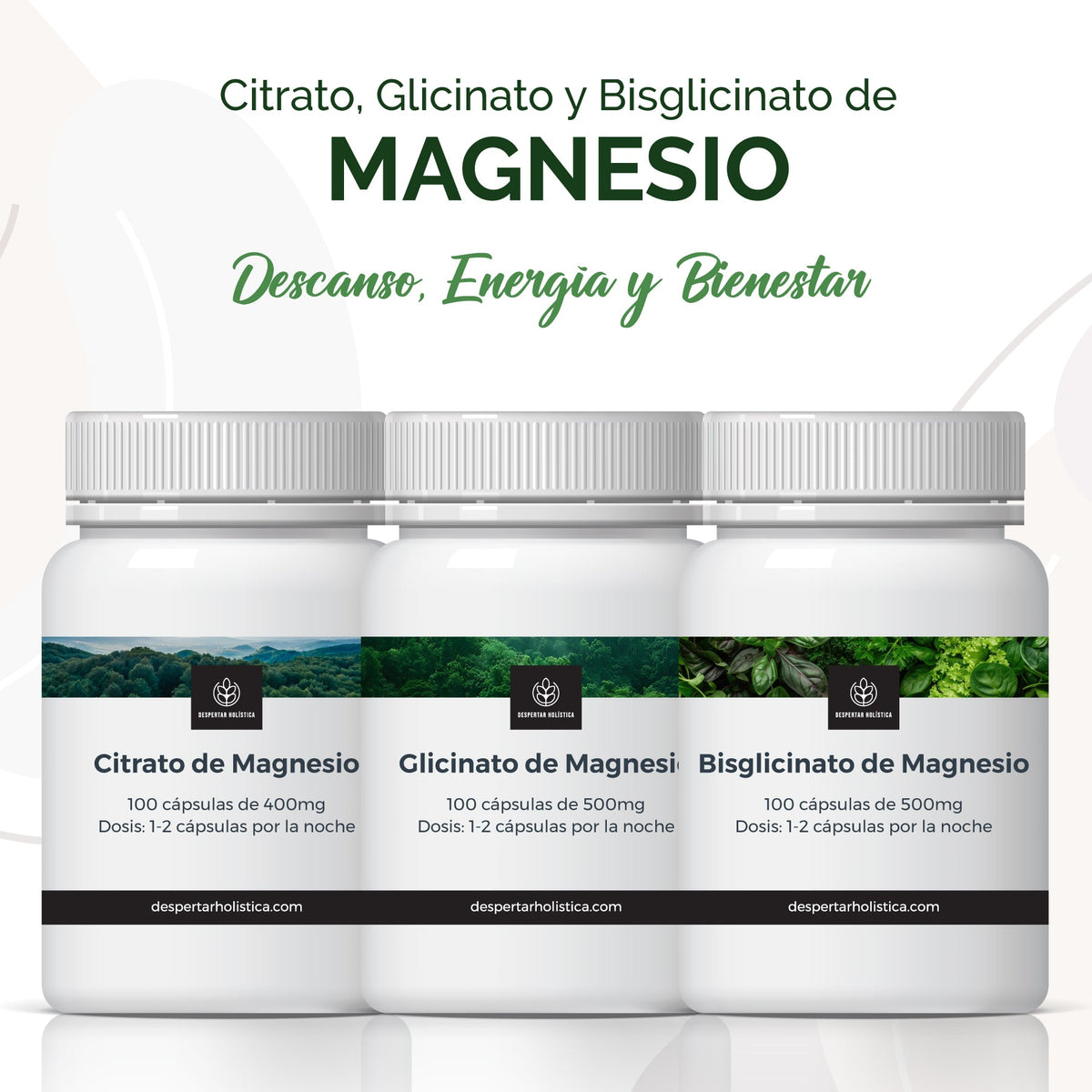 Magnesio