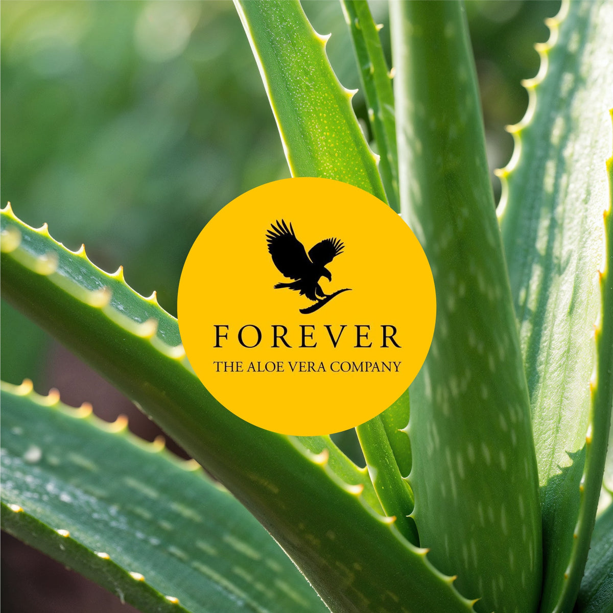 Forever Living Products