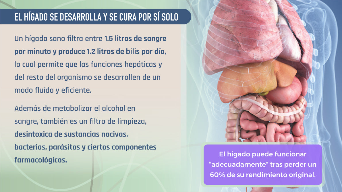 Libro Digital - Limpieza Hepática y de Vesícula