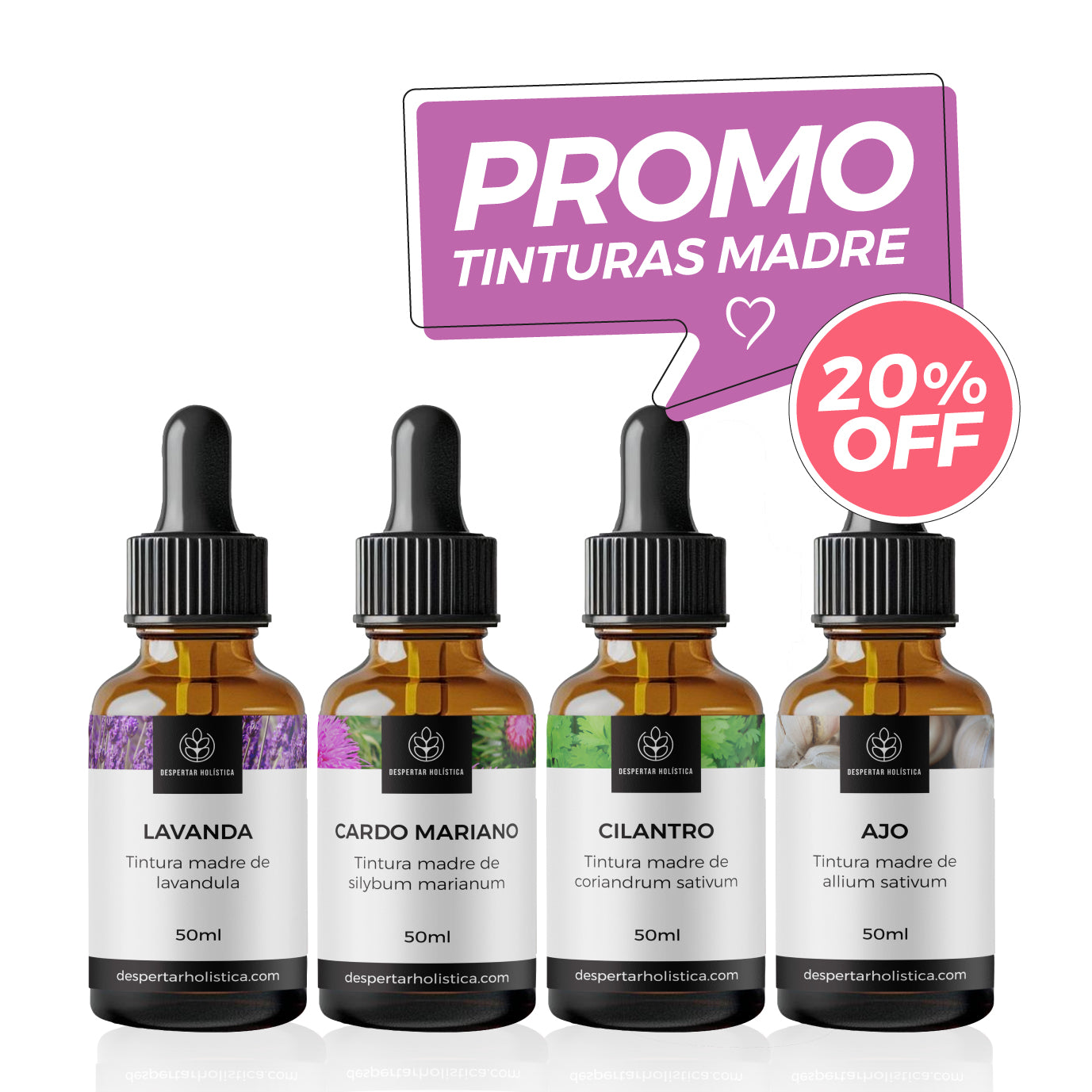 Combo 4 Tinturas Madre de Lavanda, Cardo Mariano, Cilantro y Ajo