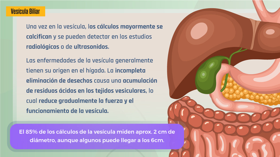 Libro Digital - Limpieza Hepática y de Vesícula