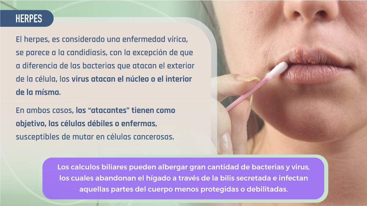Libro Digital - Limpieza Hepática y de Vesícula