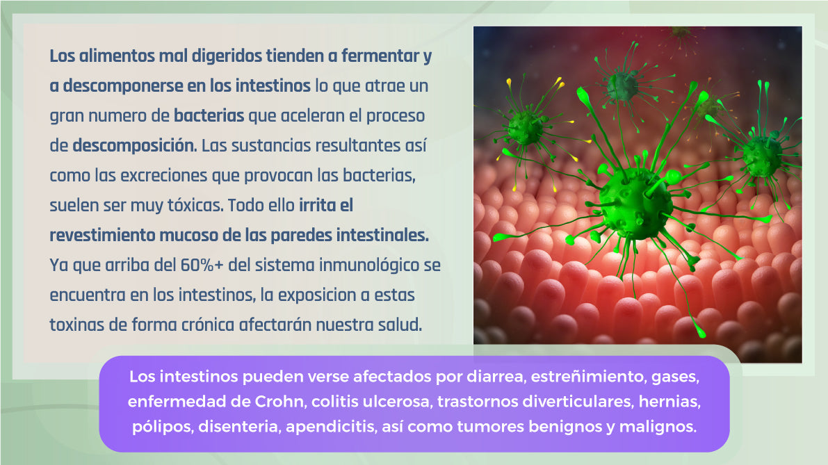 Libro Digital - Limpieza Hepática y de Vesícula