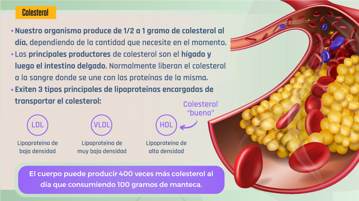 Libro Digital - Limpieza Hepática y de Vesícula
