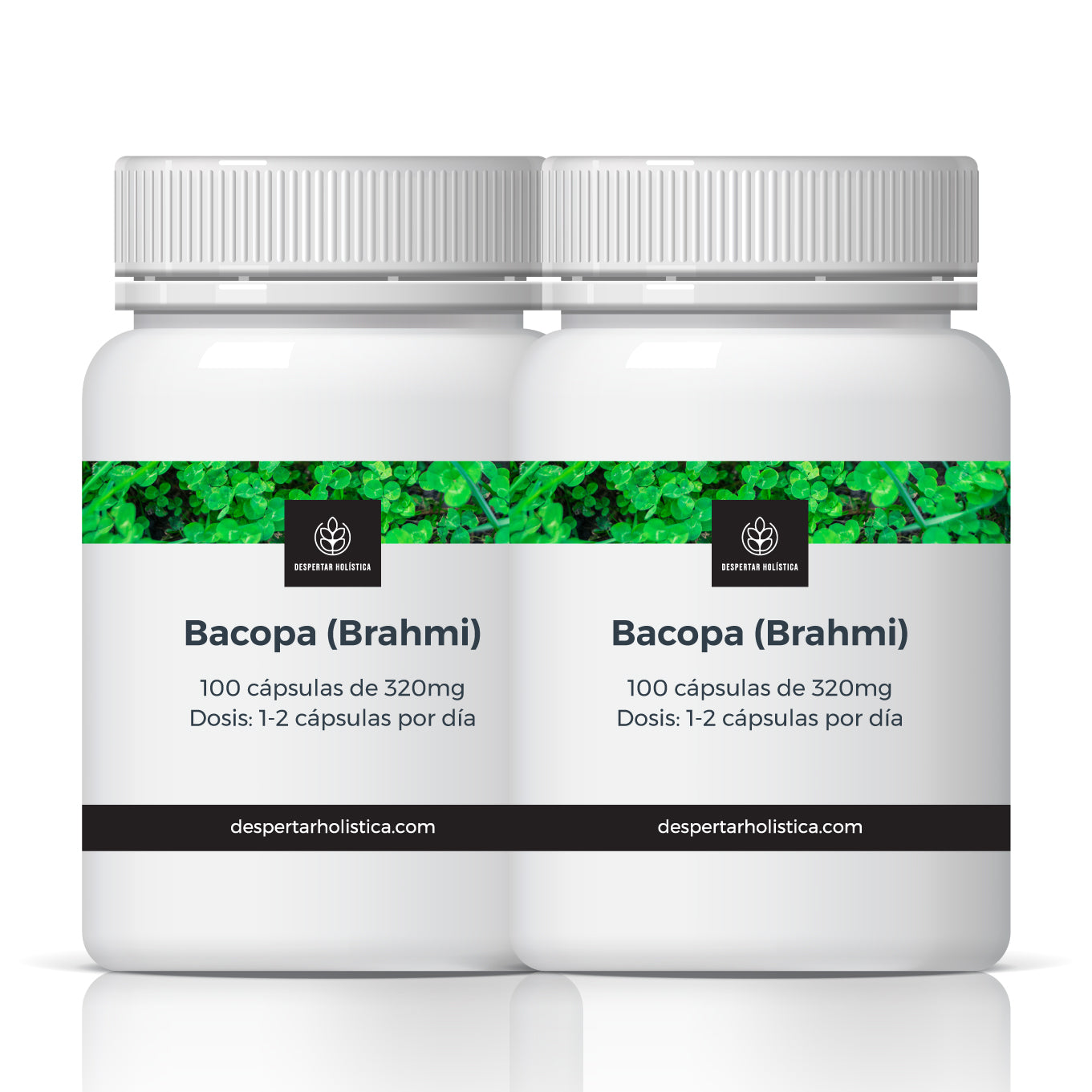 Bacopa (Brahmi) Orgánico
