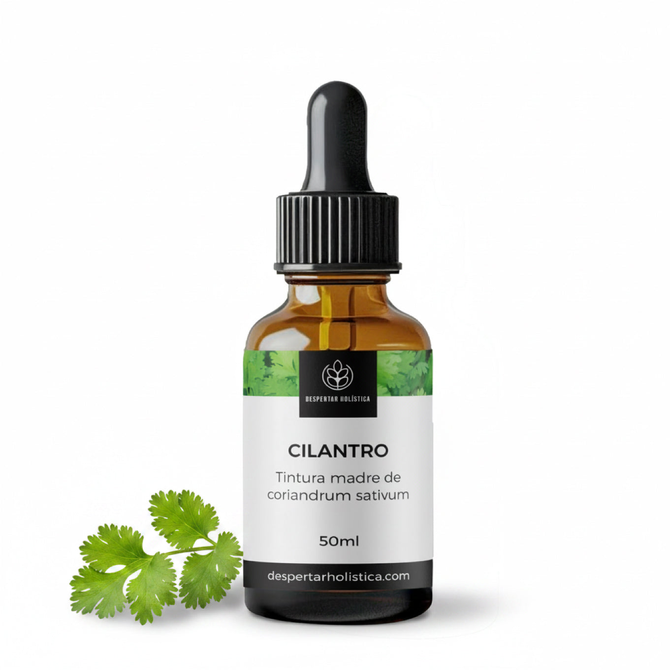 Tintura Madre de Cilantro