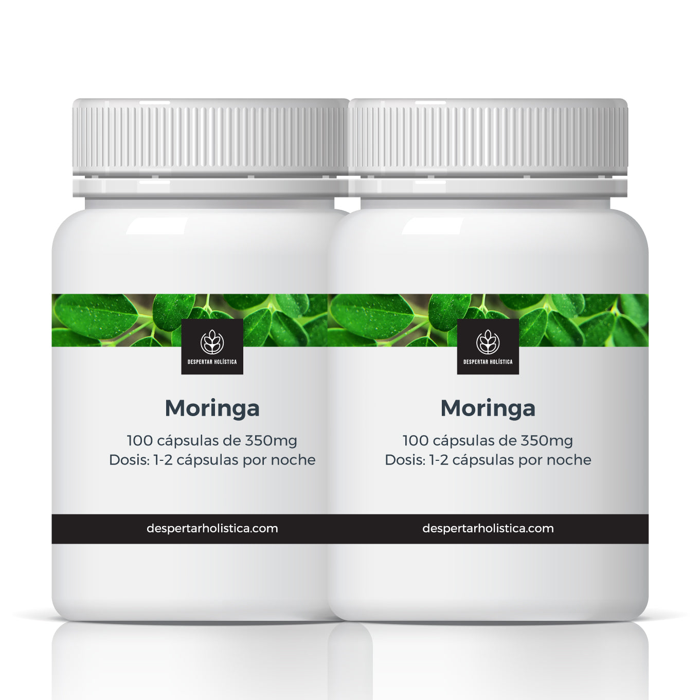Moringa Orgánica