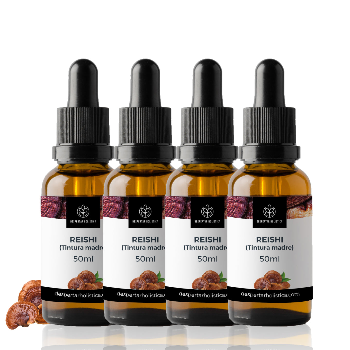 Reishi