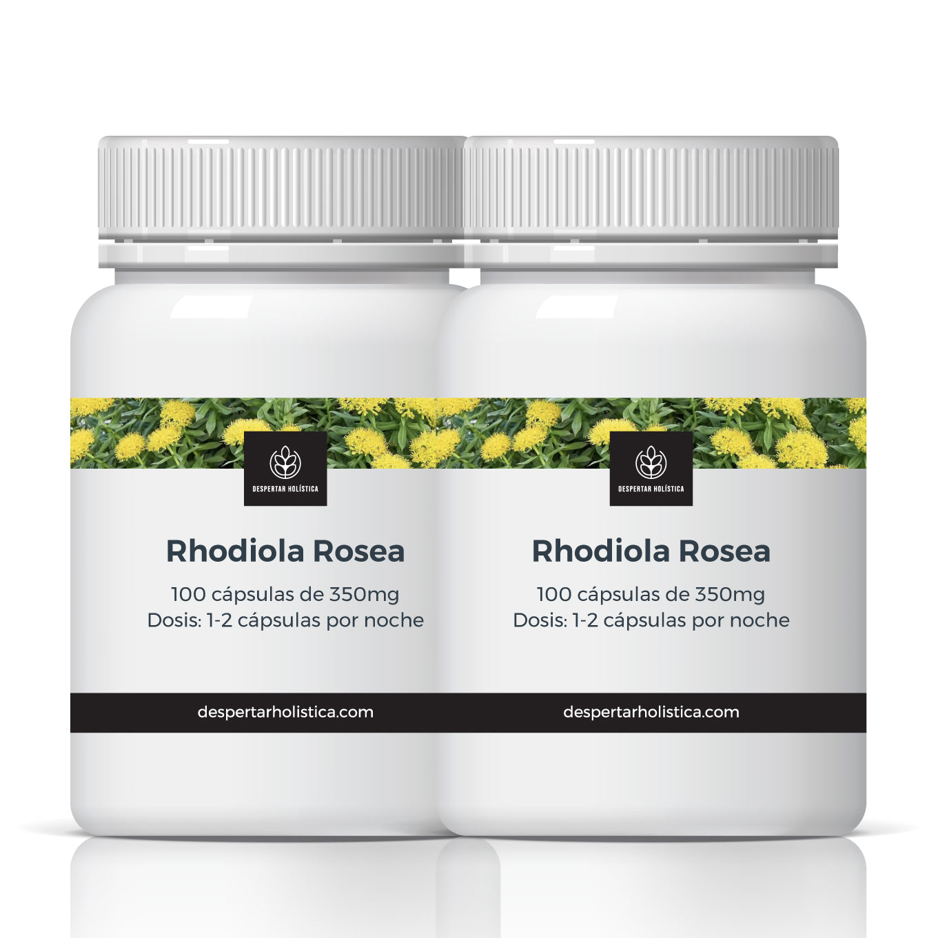 Rhodiola Orgánica