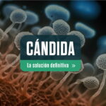 Hongos de fondo con un titulo sobre la cándida