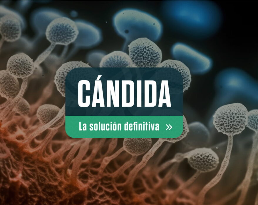 Hongos de fondo con un titulo sobre la cándida